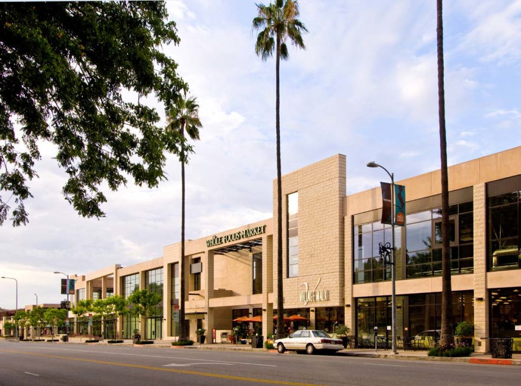 Village Walk Pine Tree