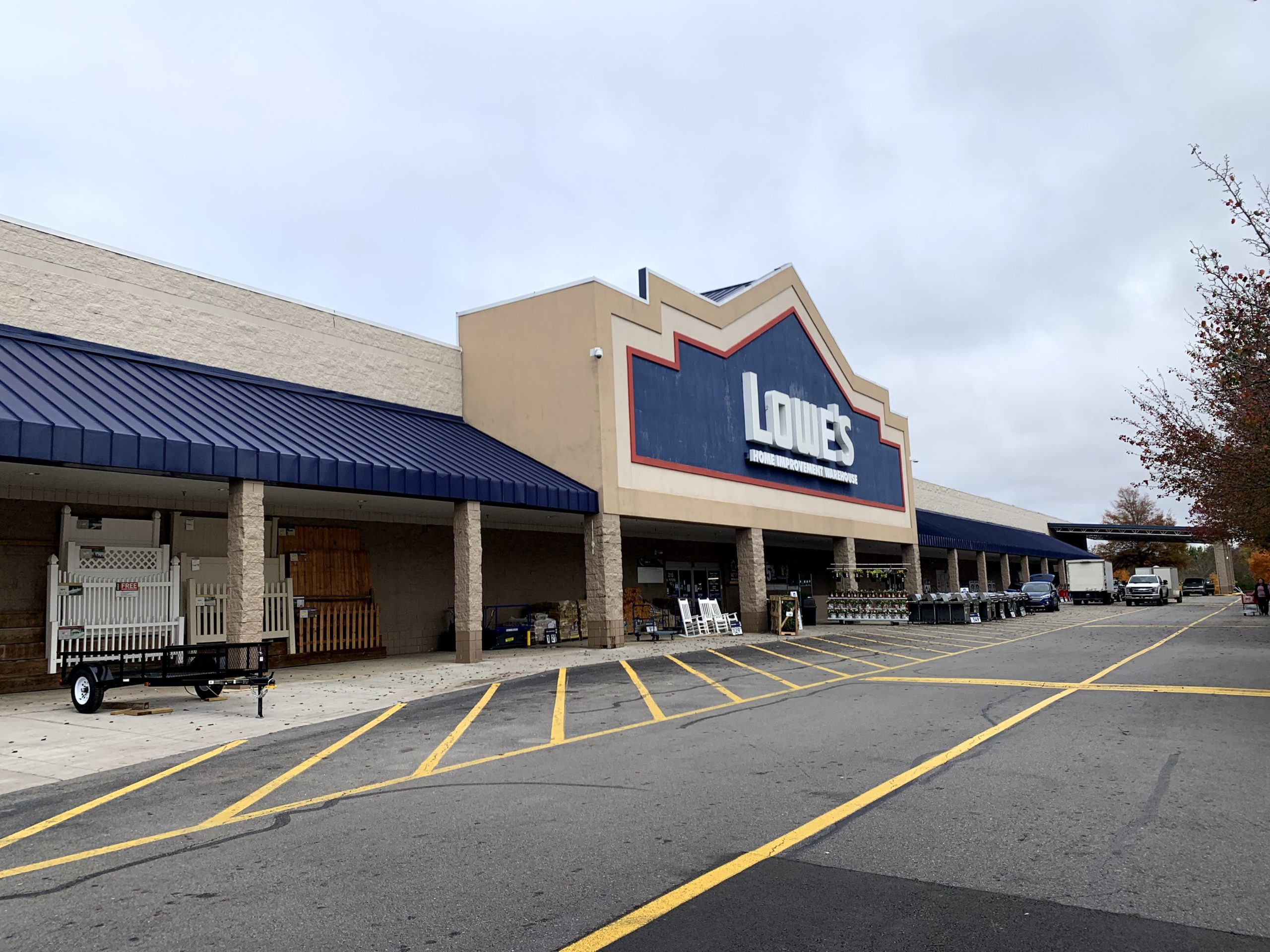 Town & Country Commons Pine Tree