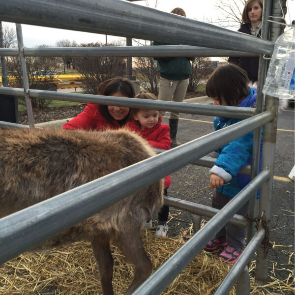 poplar_winter_wonderland_2