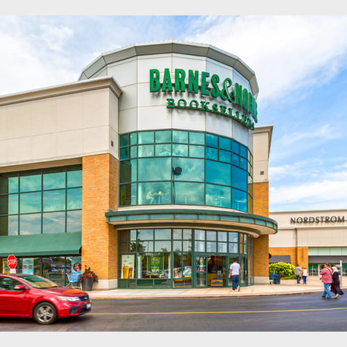 Orland Park Place Pine Tree