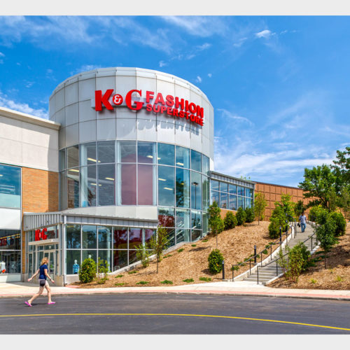 Orland Park Place Pine Tree