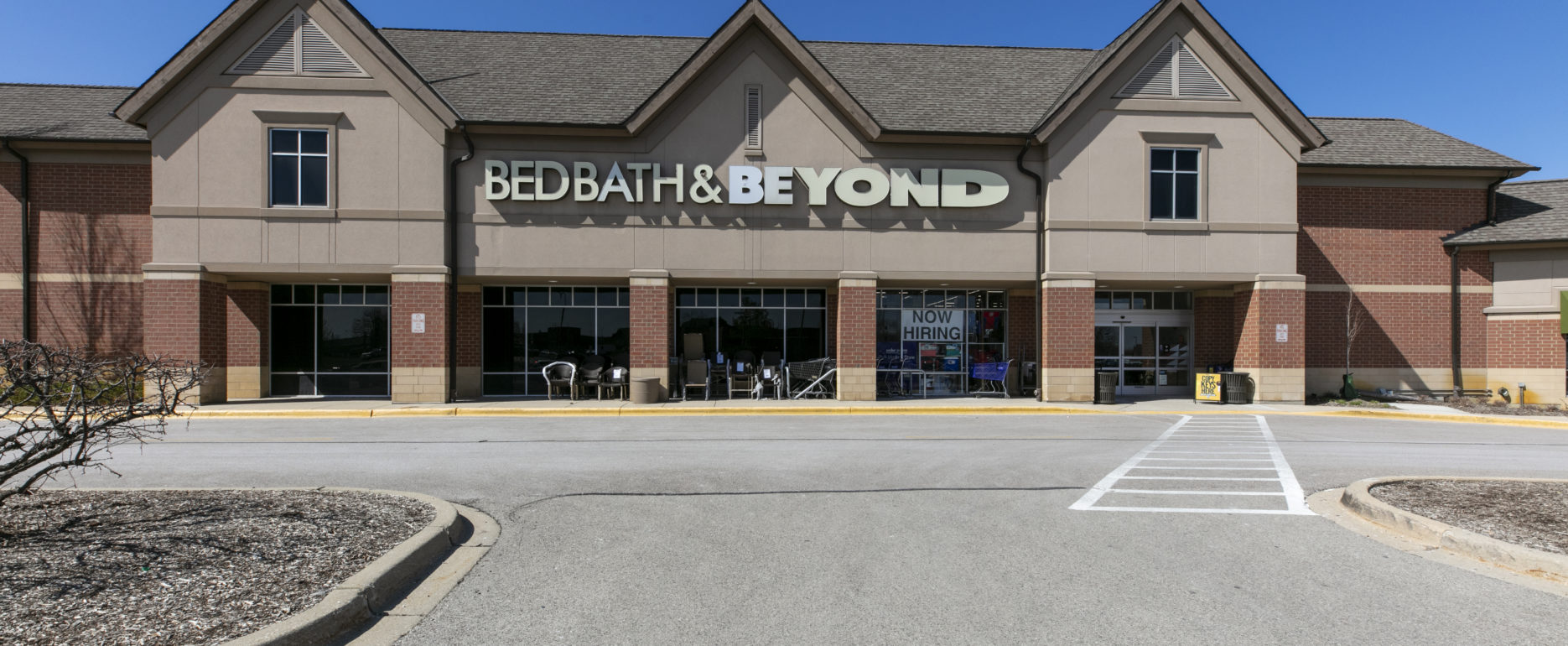 The Shops at Kildeer Pine Tree